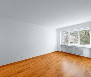 Quiet residential area near the University of Basel - Foto 4