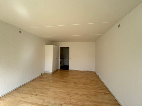 Skøn 1-værelses lejlighed centralt beliggende i Vissenbjerg - Photo 1