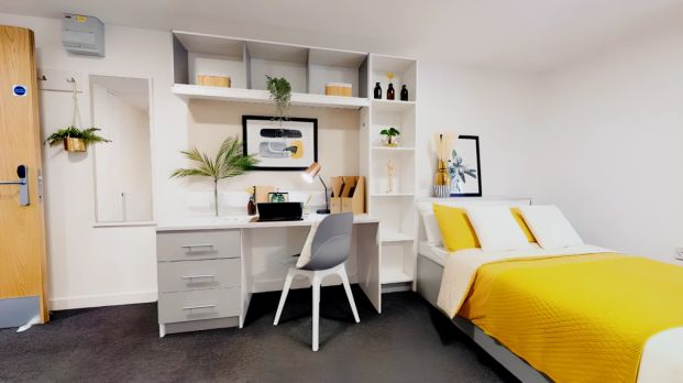 Gold Studio Plus - Photo 1