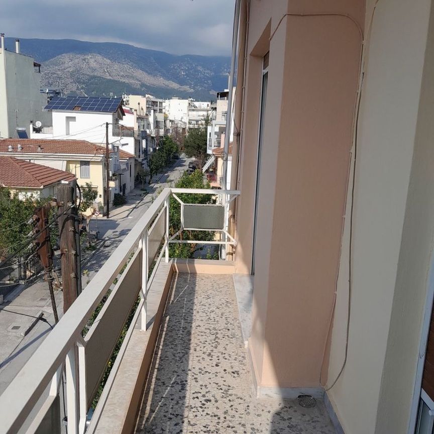 Διαμέρισμα για ενοικίαση Τσιμπούκη (Βόλος) - Φωτογραφία 1