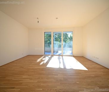 mit Grünblick: westseitige Loggia/Balkon, Garage möglich - befristet - Photo 2