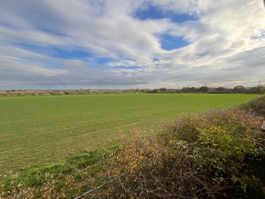 1 bedroom Mews to let - Photo 1