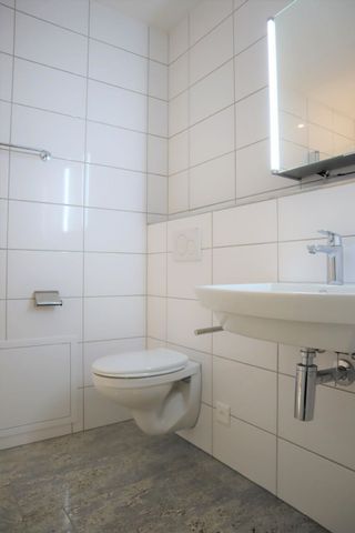 2.5 Zimmer, 45 m², 2. Stock - Foto 3