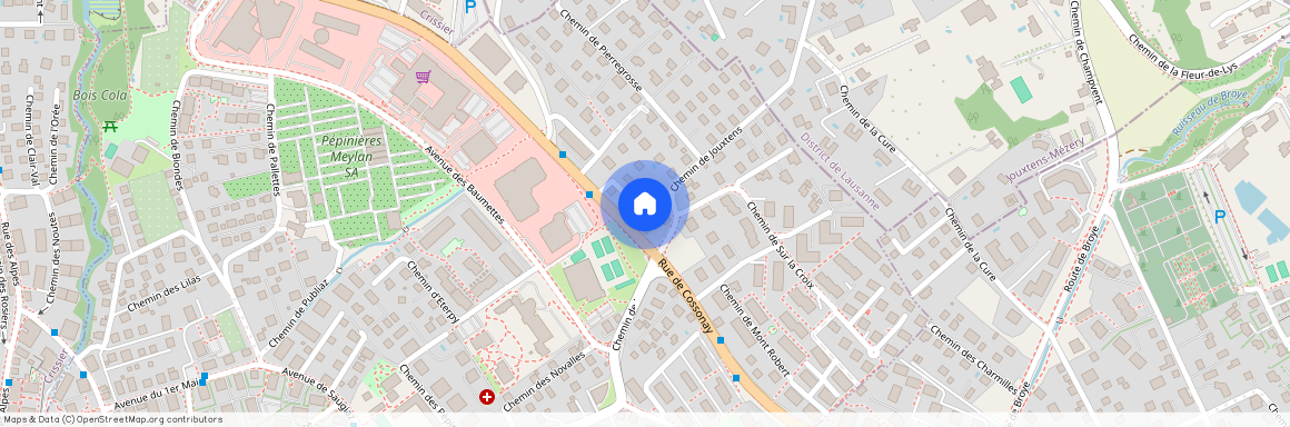 Route de Cossonay 172, 1020 Renens VD