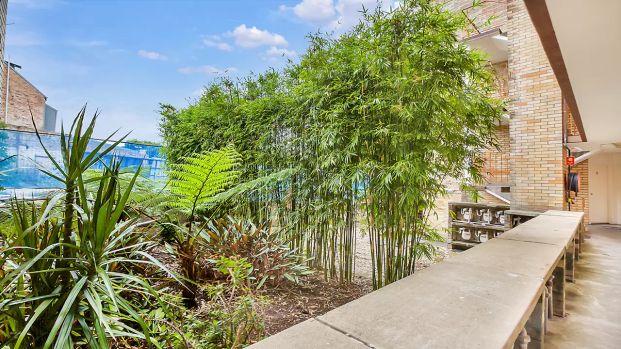 NEAT AND TIDY STUDIO IN CONVENIENT PADDINGTON LOCATION - Photo 1