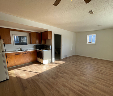 Newly Renovated 2 Bedroom Basement Suite - Photo 2