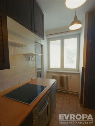 Pronájem bytu 2+1 se zahradou | Hradec nad Moravicí | pár minut od zámeckého parku - Fotografie 4
