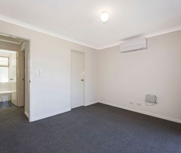 Neat and Tidy 3 X 1 - Photo 4