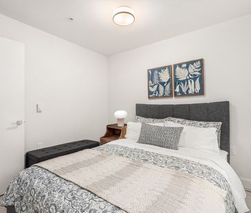 Napier Street - Photo 1