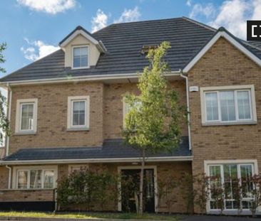 Room for rent in 4-bedroom house in Rathcoole, Dublin - Photo 5