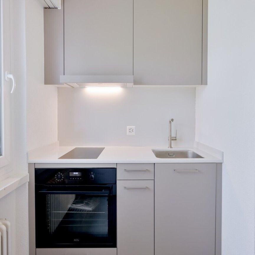 Newly renovated for you - Living wonder in Basel - Photo 1