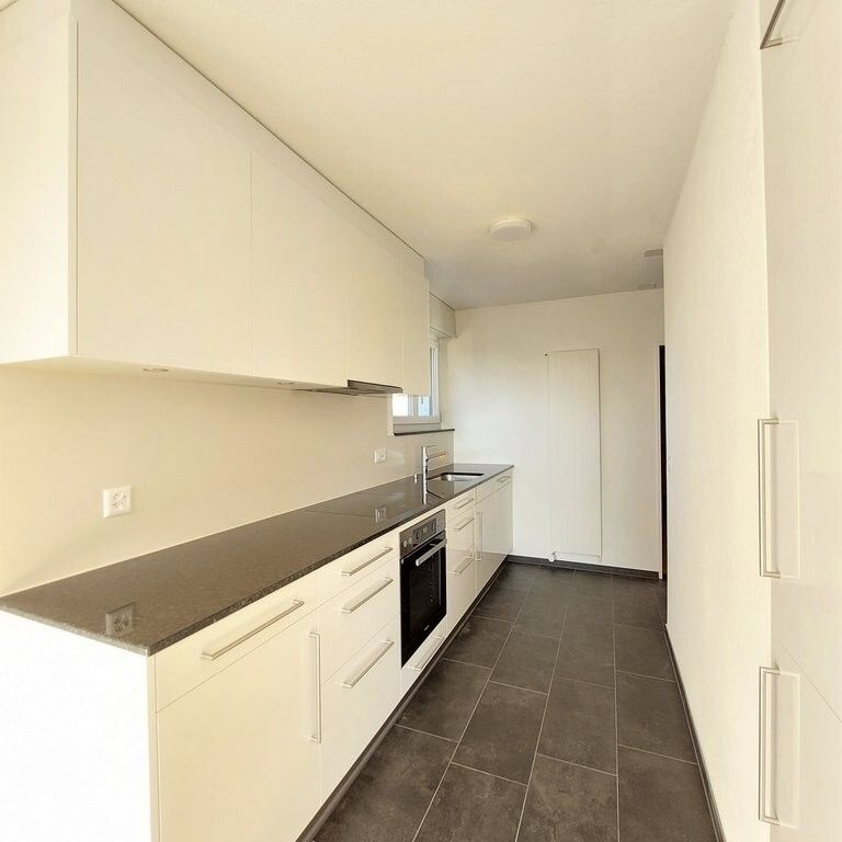 Ruhiges Familienparadies in Herzogenbuchsee - Photo 1