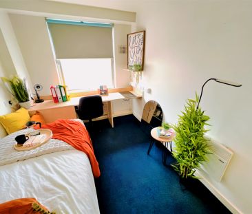 Classic Studio - Photo 3