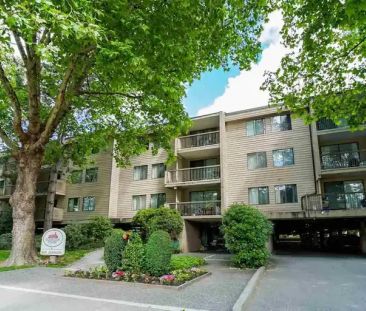 Lexington Square | 8411 Ackroyd Road, Richmond - Photo 1