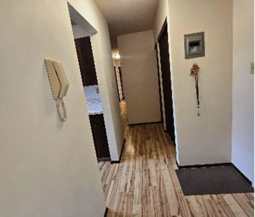 3 BED, 1.5 BATH, 3RD FLOOR APARTMENT W/ AN AIR-CONDITIONED MASTER B... - Photo 3