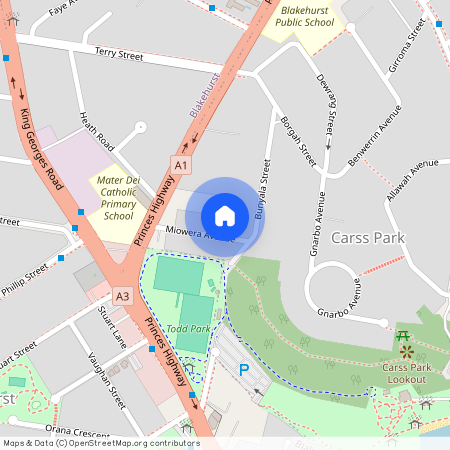 13 Miowera Avenue, NSW 2221, Carss Park