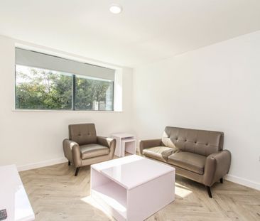 1 bed Shared Flat for Rent - Photo 1
