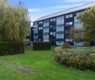 Om lejligheden - Foto 2