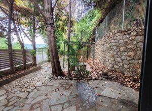 Μονοκατοικία για ενοικίαση - Αβία, - Photo 5