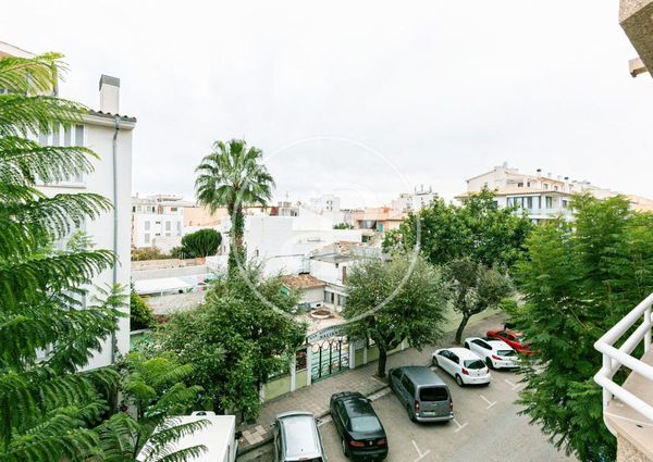 Puerto de Pollensa, Balearic Islands 07470