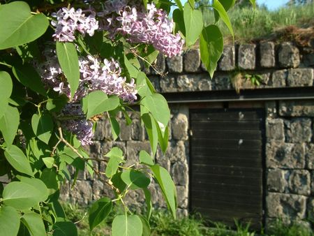 Blodriskegränd 8 B - Photo 3