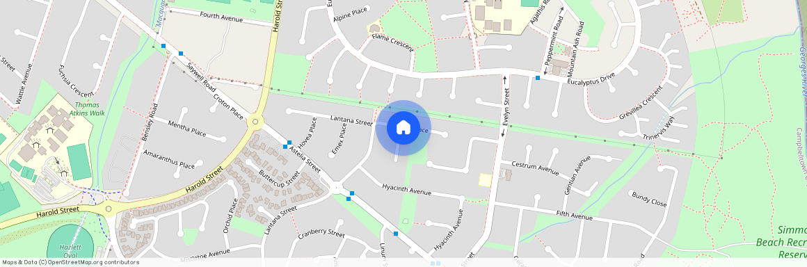 1 Gardenia Pl, NSW 2564, Macquarie Fields