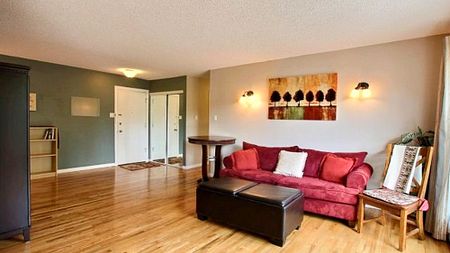 Top Floor Condo In The Heart Of Edmonton’s Best Neighborhood - Photo 3