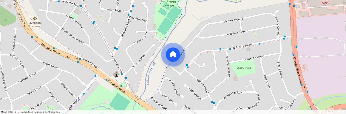 121 Medley Avenue, NSW 2170, Liverpool