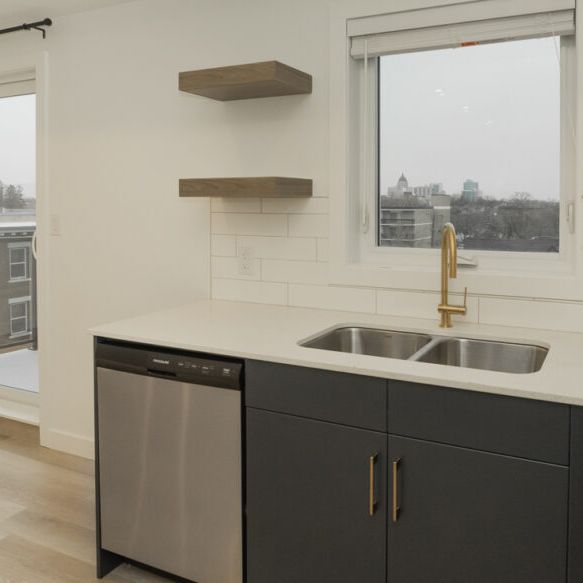 Manchester: Gold Accents – Penthouse Suite – 710 Westminster, Winnipeg, MB - Photo 1