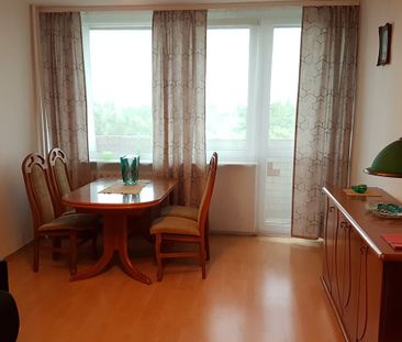 mazowieckie, Warszawa, Bemowo, Jelonki Południowe, Anieli Krzywoń - Zdjęcie 4