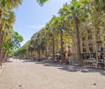 Rambla del Raval, Barcelona, Catalonia 8001 - Photo 5