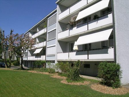 Singlewohnung sucht Sie! - Photo 5