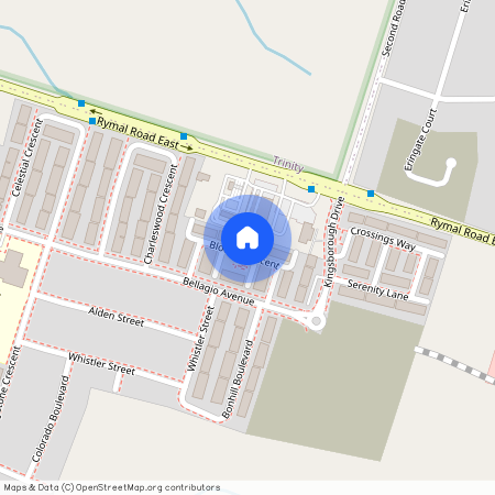 60 Bloom Crescent, Hamilton