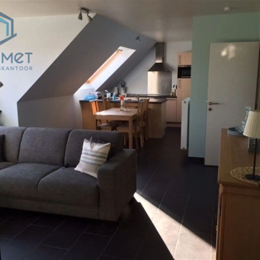 EERSTE BEZOEKDAG WOENSDAG 18/02 OP AFSPRAAK VAN 14U TOT 18U - Photo 1