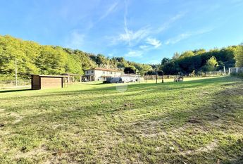 Villa singola in affitto