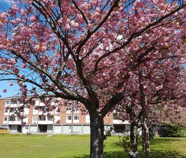 Sjögatan, Oxelösund - Photo 1