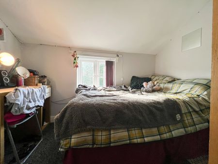 Merthyr Street, Cathays - Photo 4