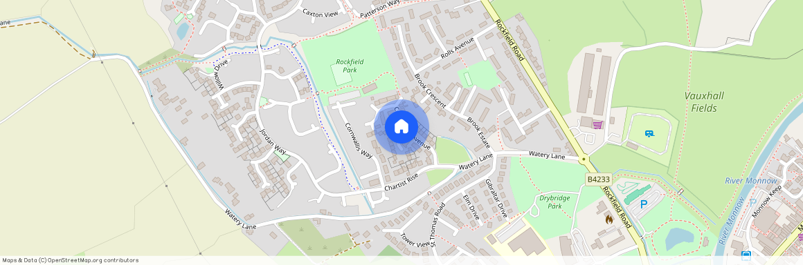 Cornpoppy Avenue, Monmouth, NP25