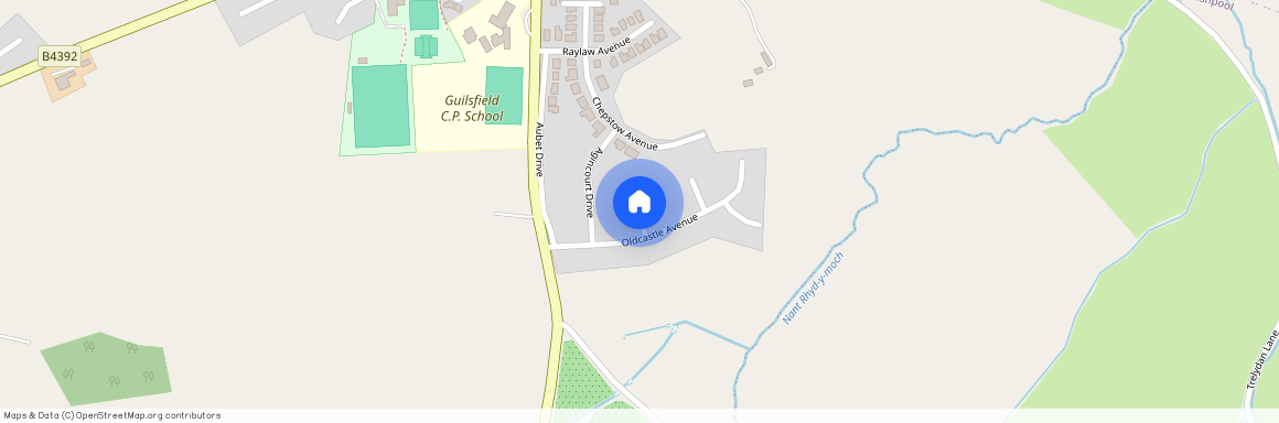 Rhallt Drive, Guilsfield SY21