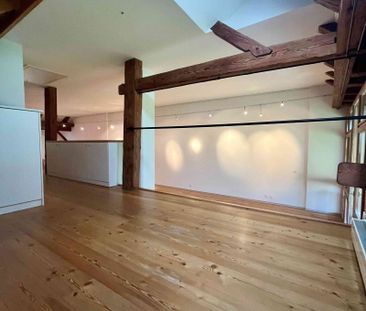 1 Zimmer, 100 m², 1. Stock - Foto 3