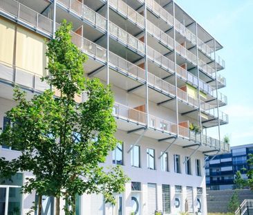 2.5-room apartment on the 5th floor for rent in Fribourg - Photo 6