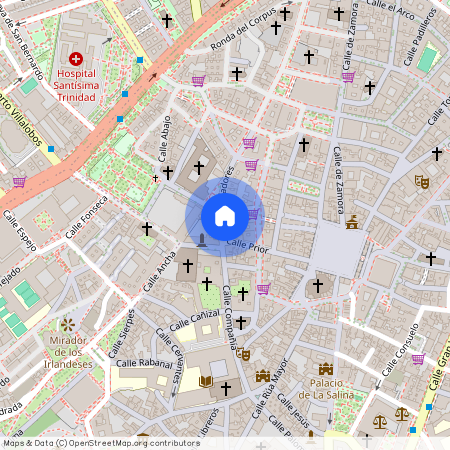 Plaza de Monterrey, 6, 37002 Salamanca, Spain