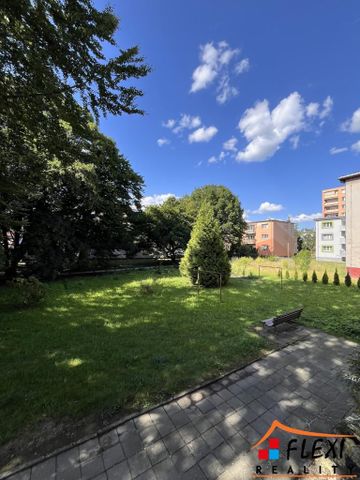 Pronájem bytu 2+1 54 m2 - Fotografie 3