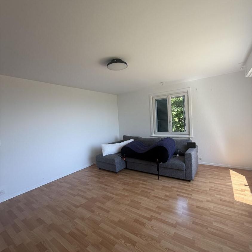 3.5 Zimmer, EG - Photo 1
