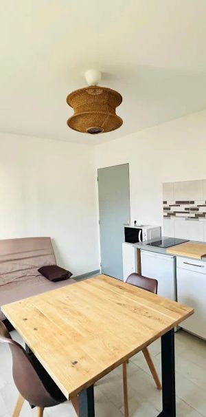 Appartement à louer 1 pièce 17.51m² - Photo 1