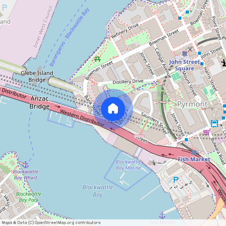 62/120 Saunders Street, Pyrmont, NSW 2009