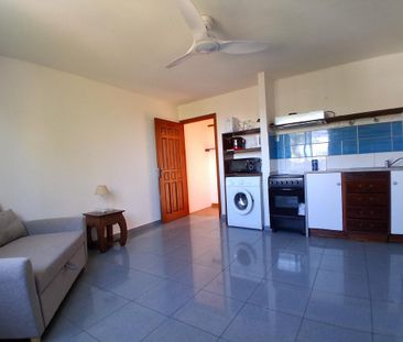 Location Appartement 1 pièce Meublé 25m² ST PIERRE 97410 - Photo 3