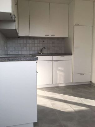 2.5 Zimmer, 55 m², EG - Photo 1