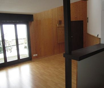Charmant appartement avec terrasse à Saint-Cergue - Photo 1