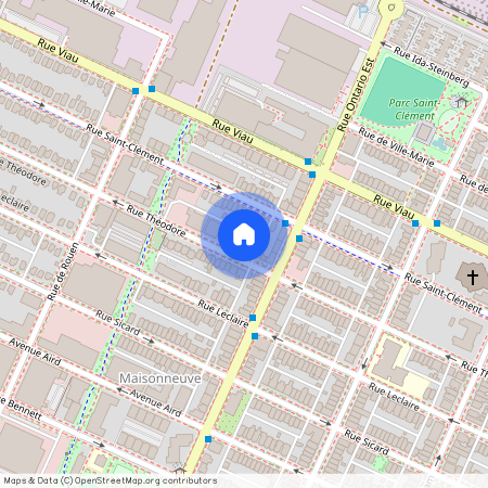 2033 Rue Théodore, Mercier-Hochelaga-Maisonneuve, Mercier-Hochelaga-Maisonneuve, Ile de Montréal, H1V 1L7